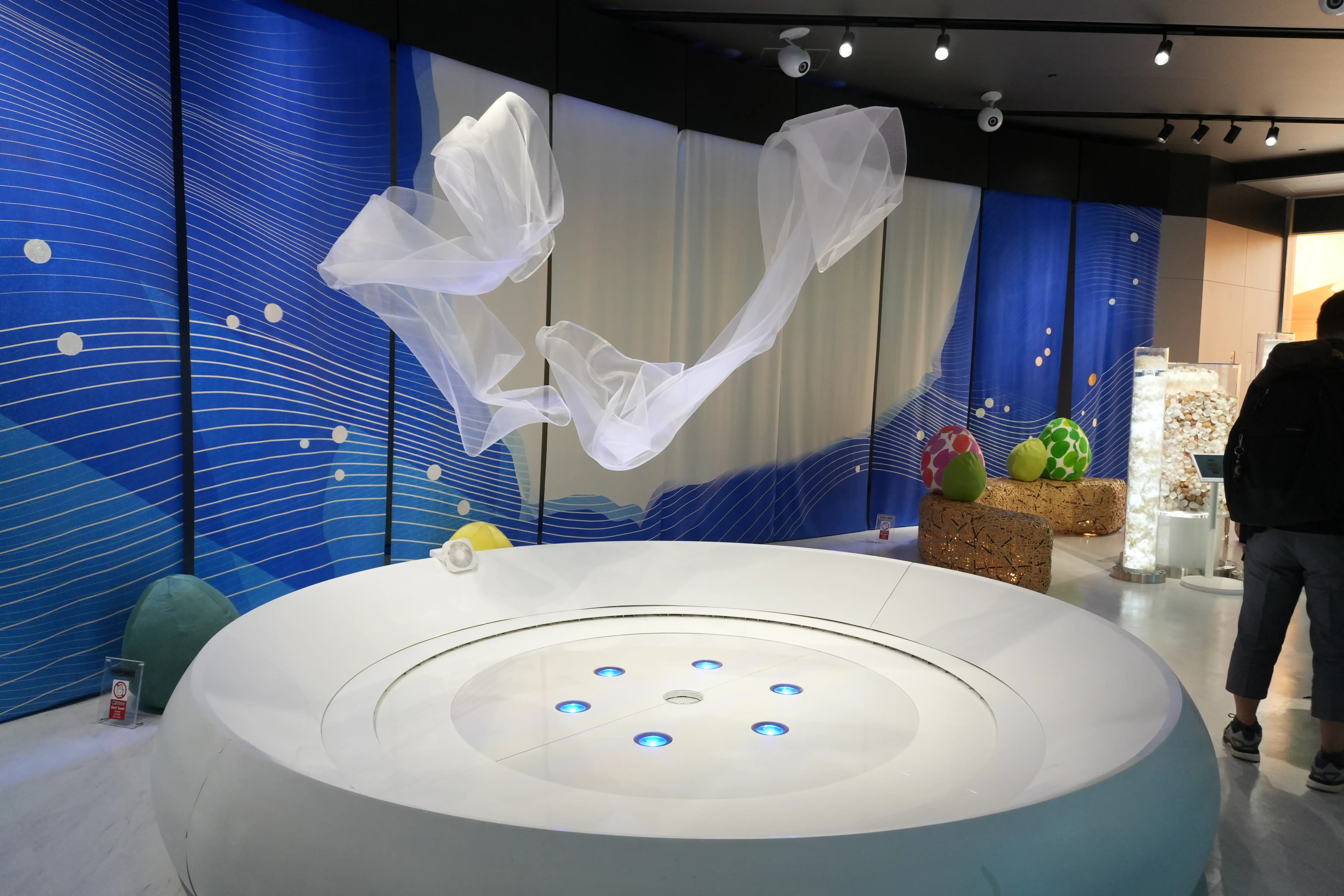 ZINNSIA 活動事例