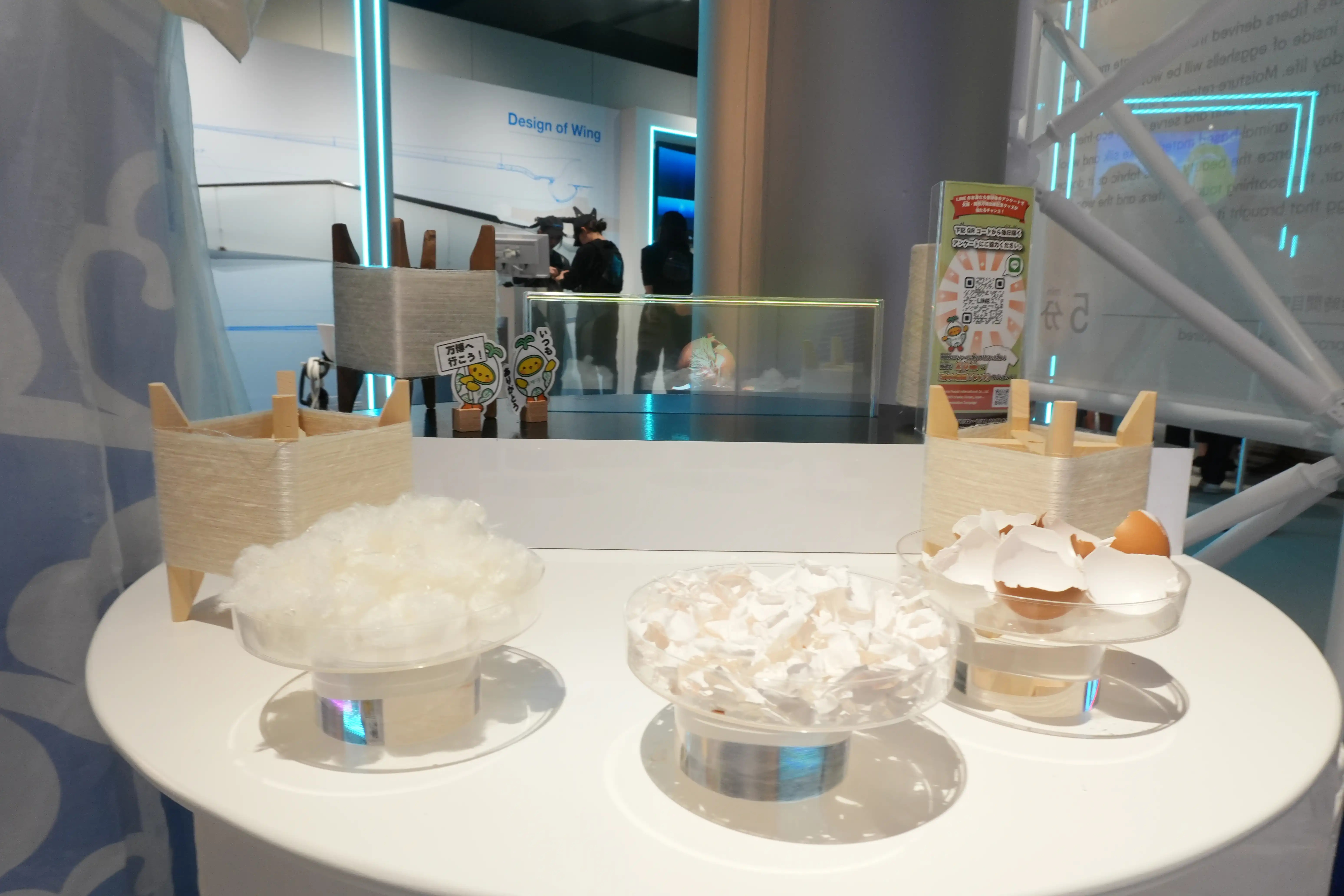 ZINNSIA 活動事例