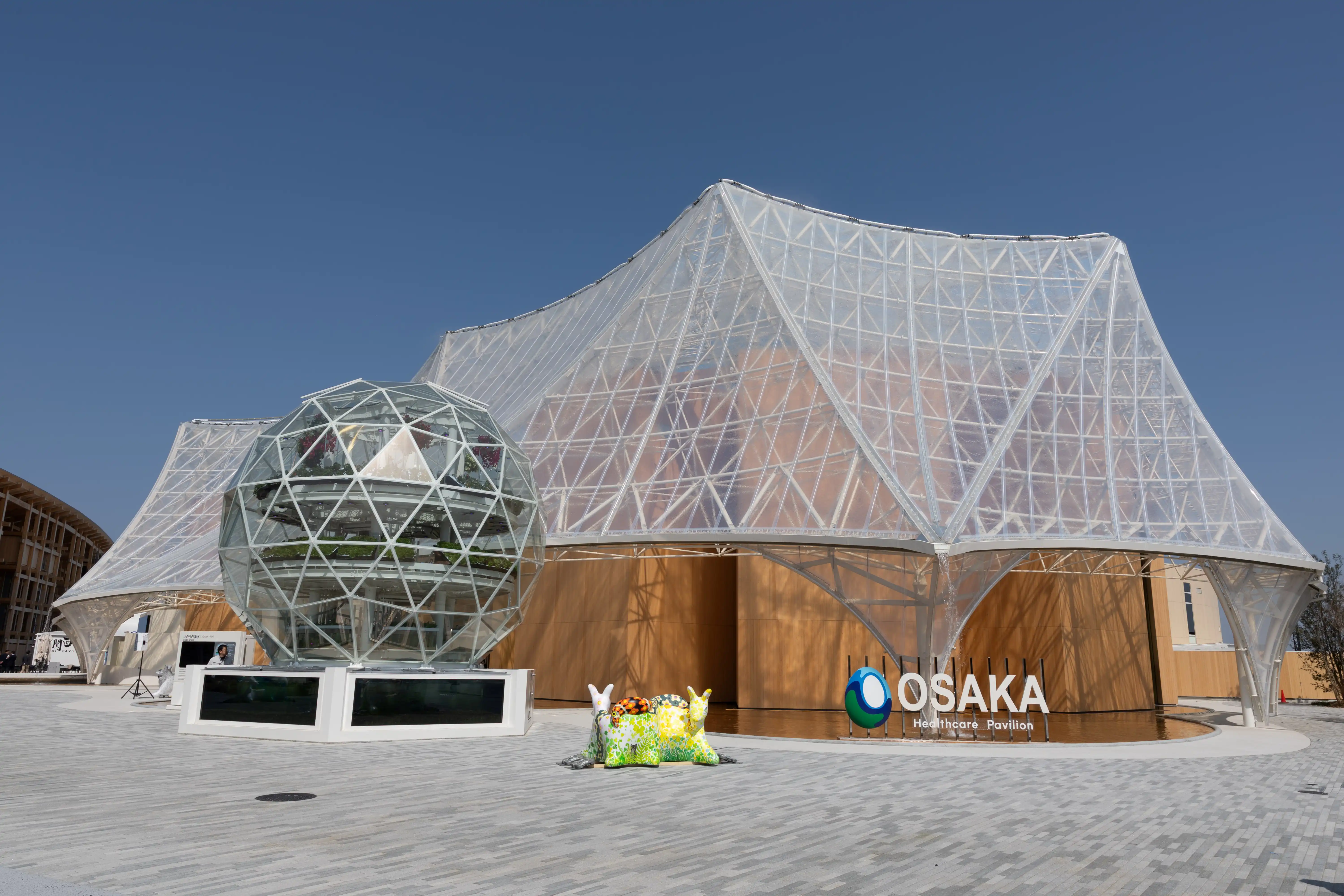 ZINNSIA 活動事例