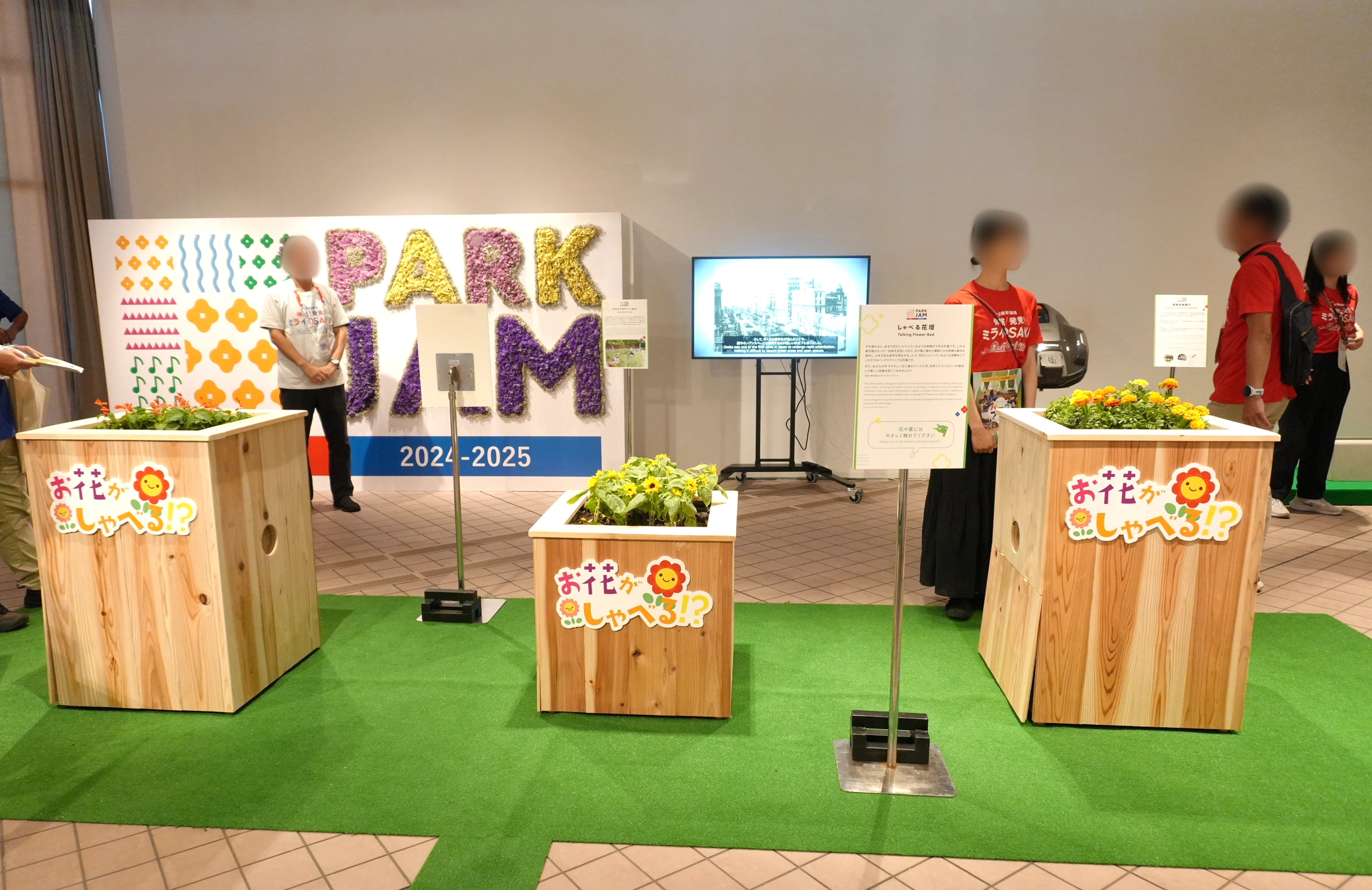 ZINNSIA 活動事例