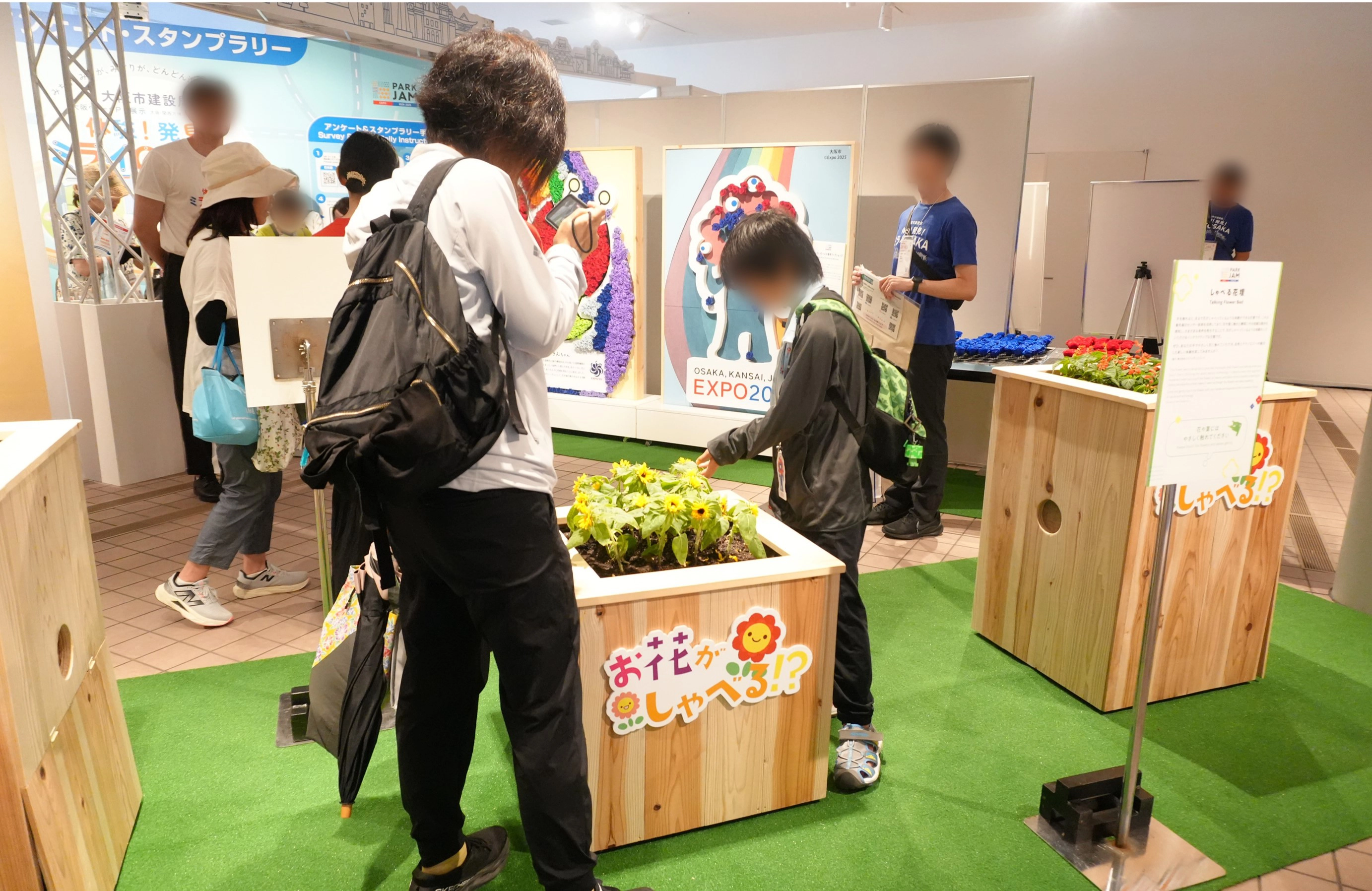 ZINNSIA 活動事例