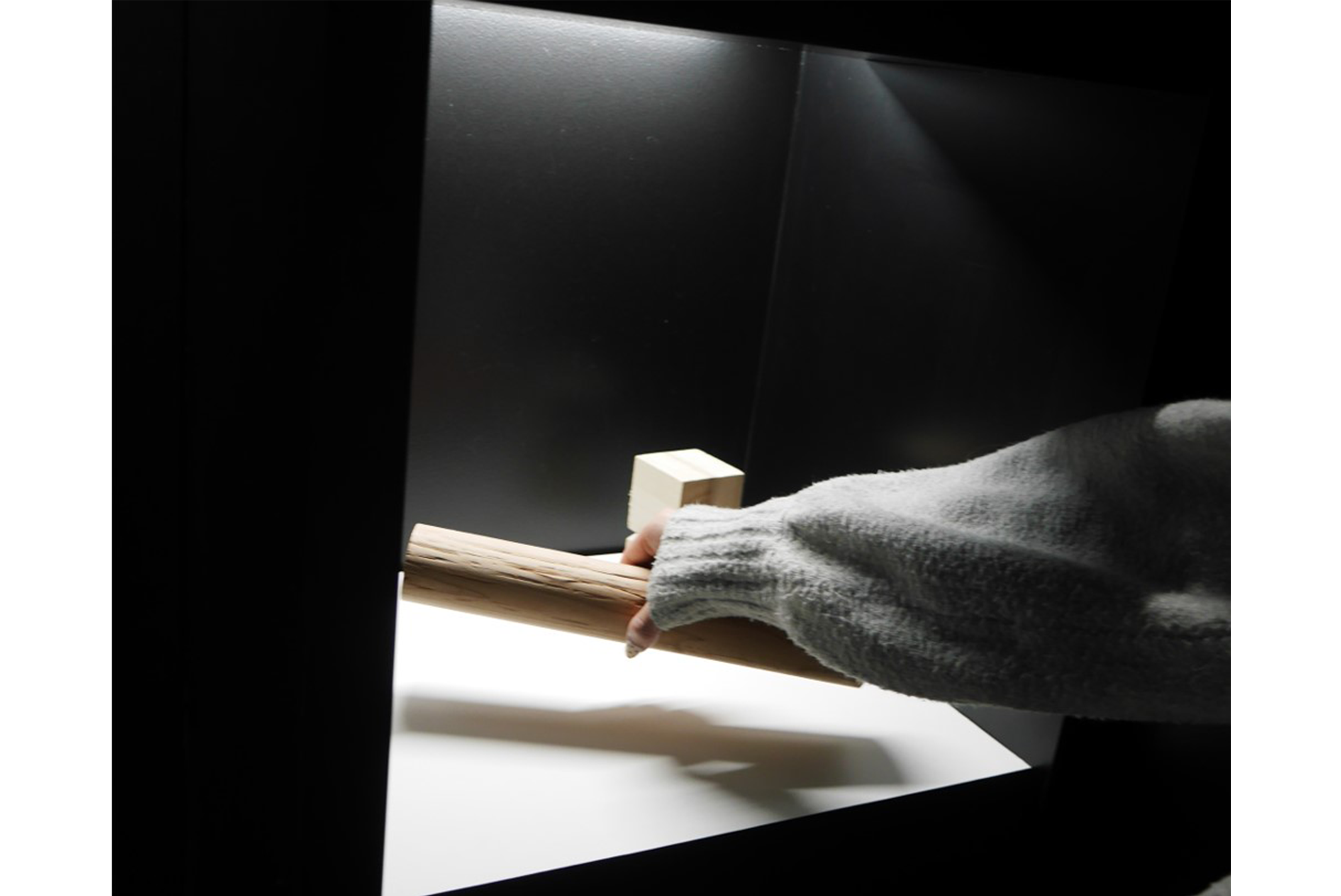 ZINNSIA 活動事例