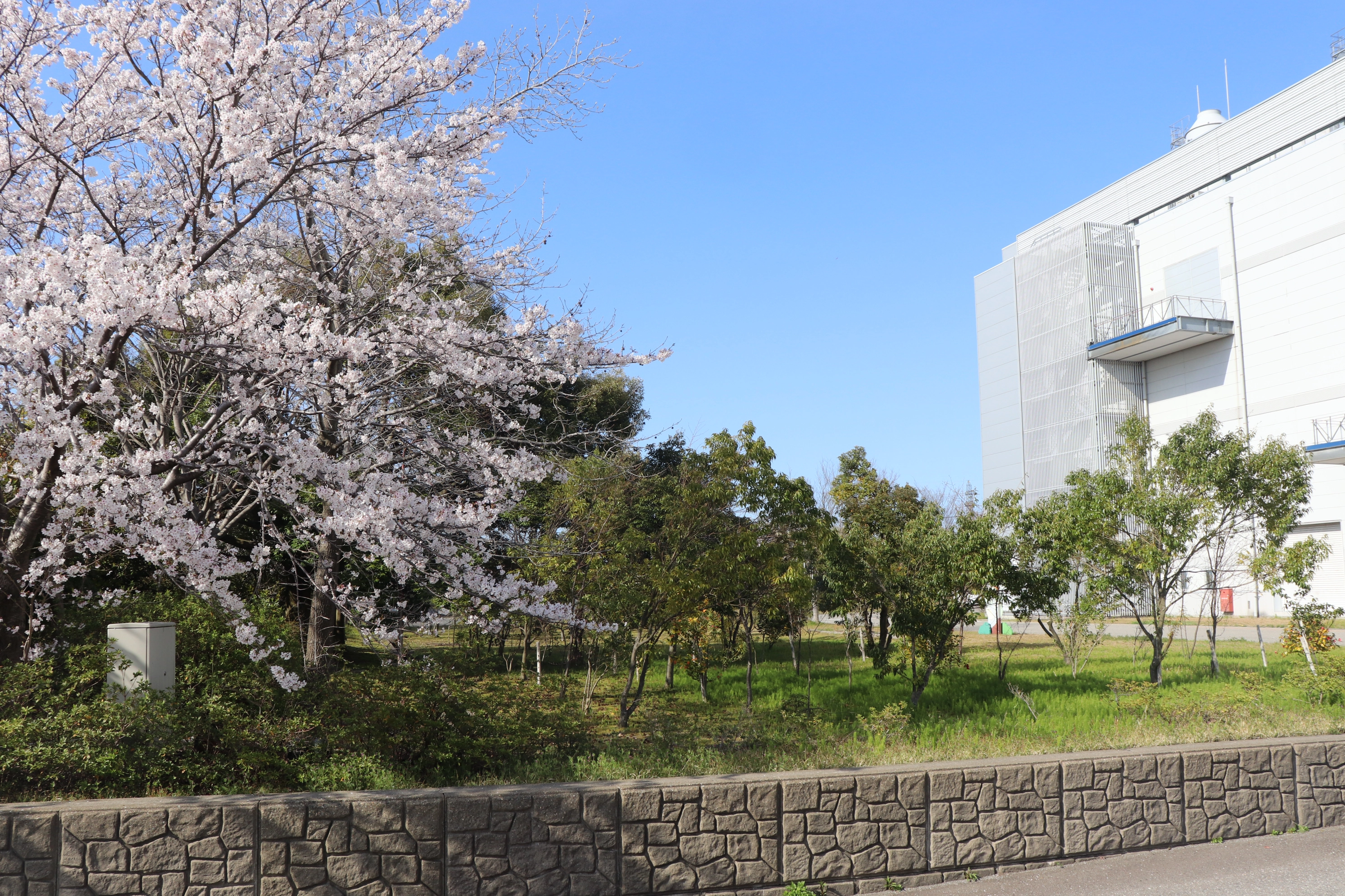 Hotaru-gawa Creek and Koi Pond (Mobara Fab)